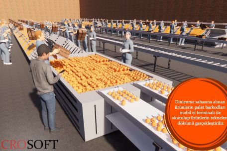 MacroSoft Yaş Sebze Meyve Paketleme Otomasyonu 0-42 screenshot